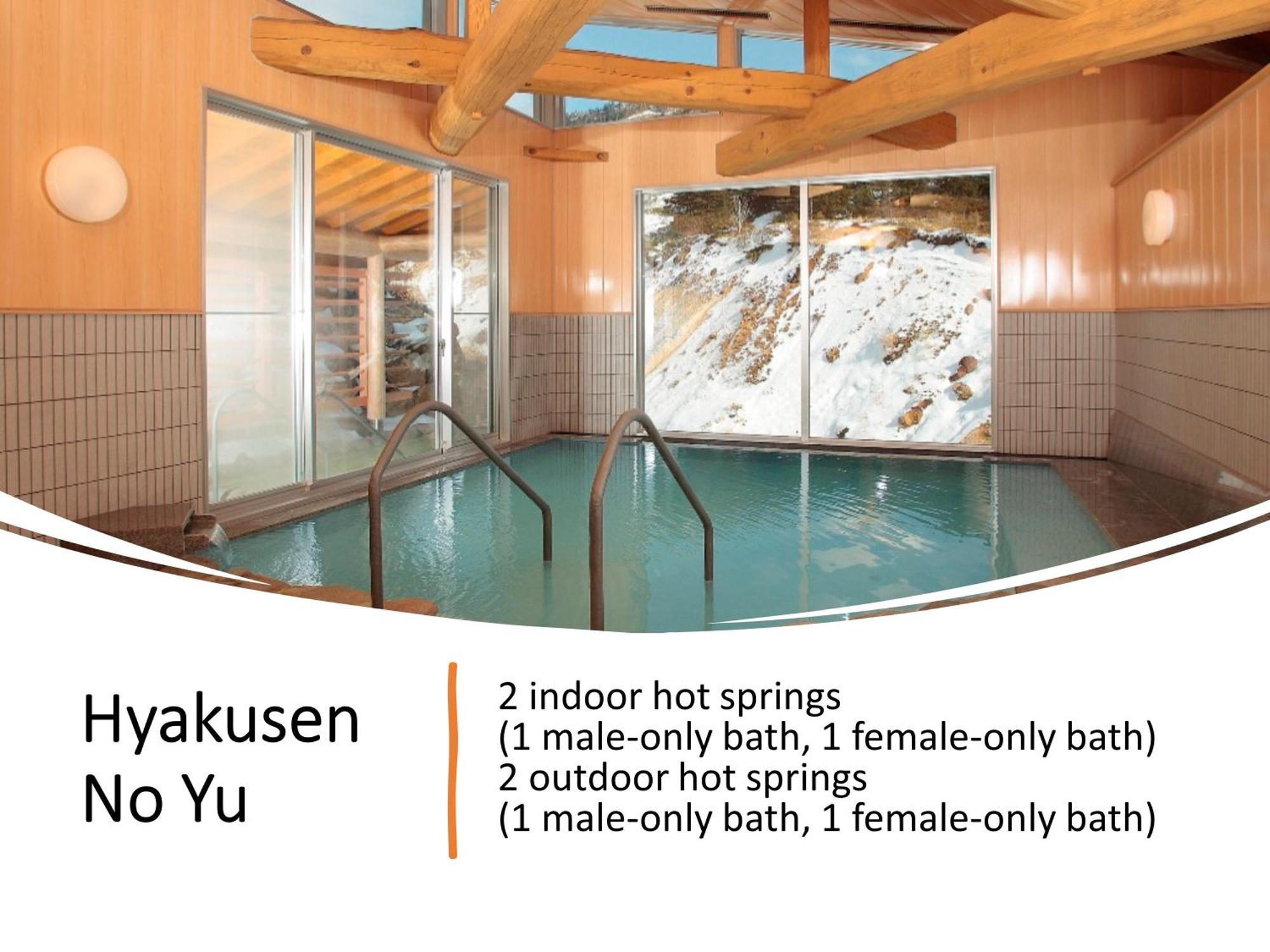 Hotel Manza Kogen 3*